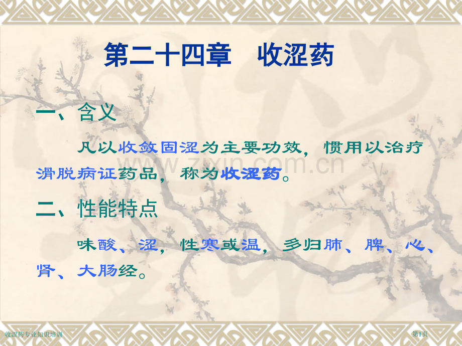 收涩药专业知识培训专家讲座.pptx_第1页