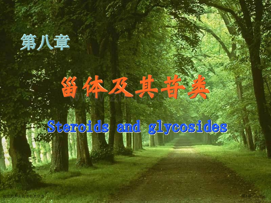 沈阳药科大甾体和其苷类专家讲座.pptx_第1页