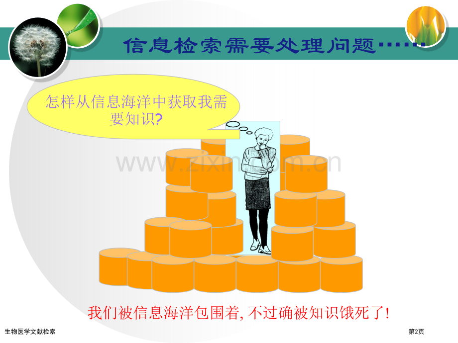 生物医学文献检索.pptx_第2页