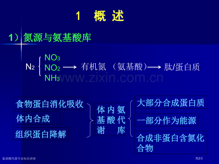 氨基酸代谢专业知识讲座专家讲座.pptx_第2页