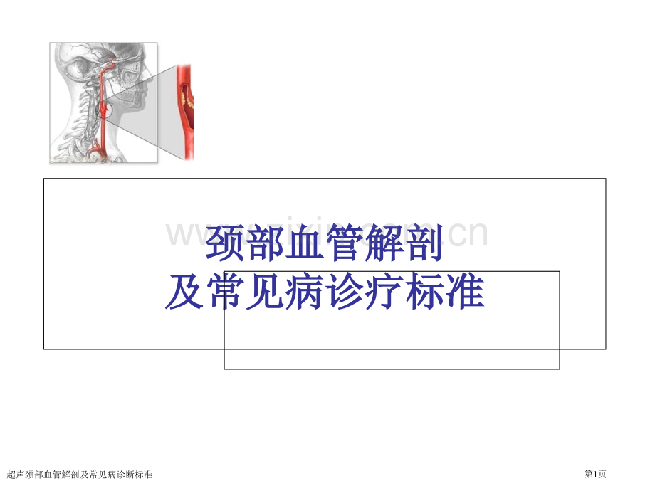 超声颈部血管解剖及常见病诊断标准.pptx_第1页