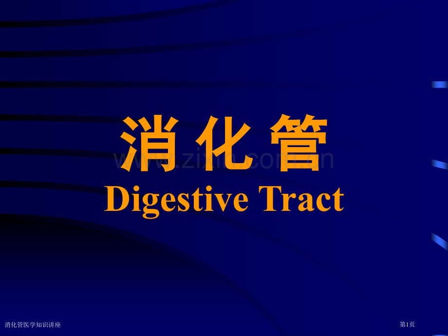 消化管医学知识讲座专家讲座.pptx_第1页