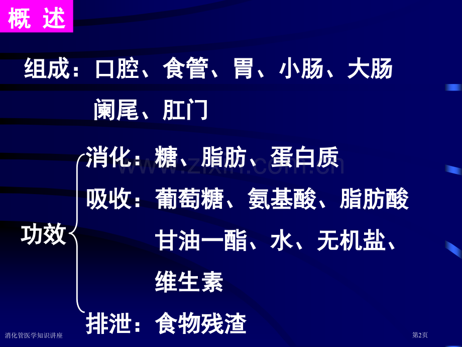 消化管医学知识讲座专家讲座.pptx_第2页