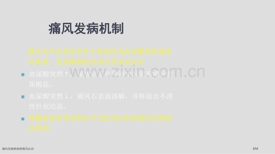 痛风发病机制的现代认识.pptx_第2页