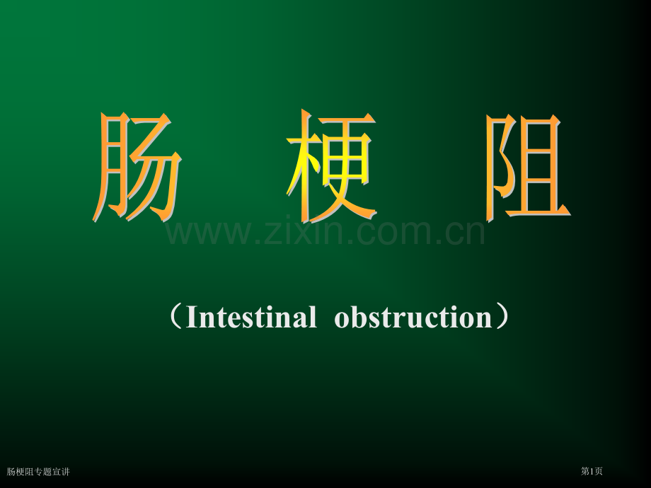 肠梗阻专题宣讲.pptx_第1页