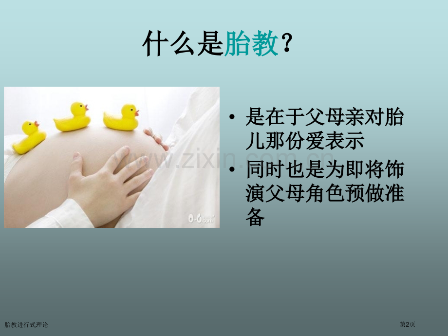 胎教进行式理论专家讲座.pptx_第2页