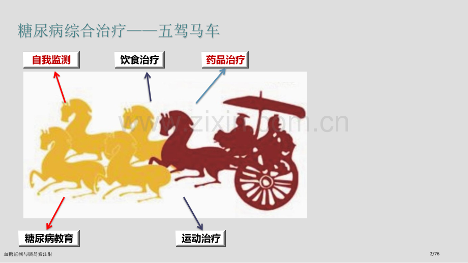 血糖监测与胰岛素注射.pptx_第2页