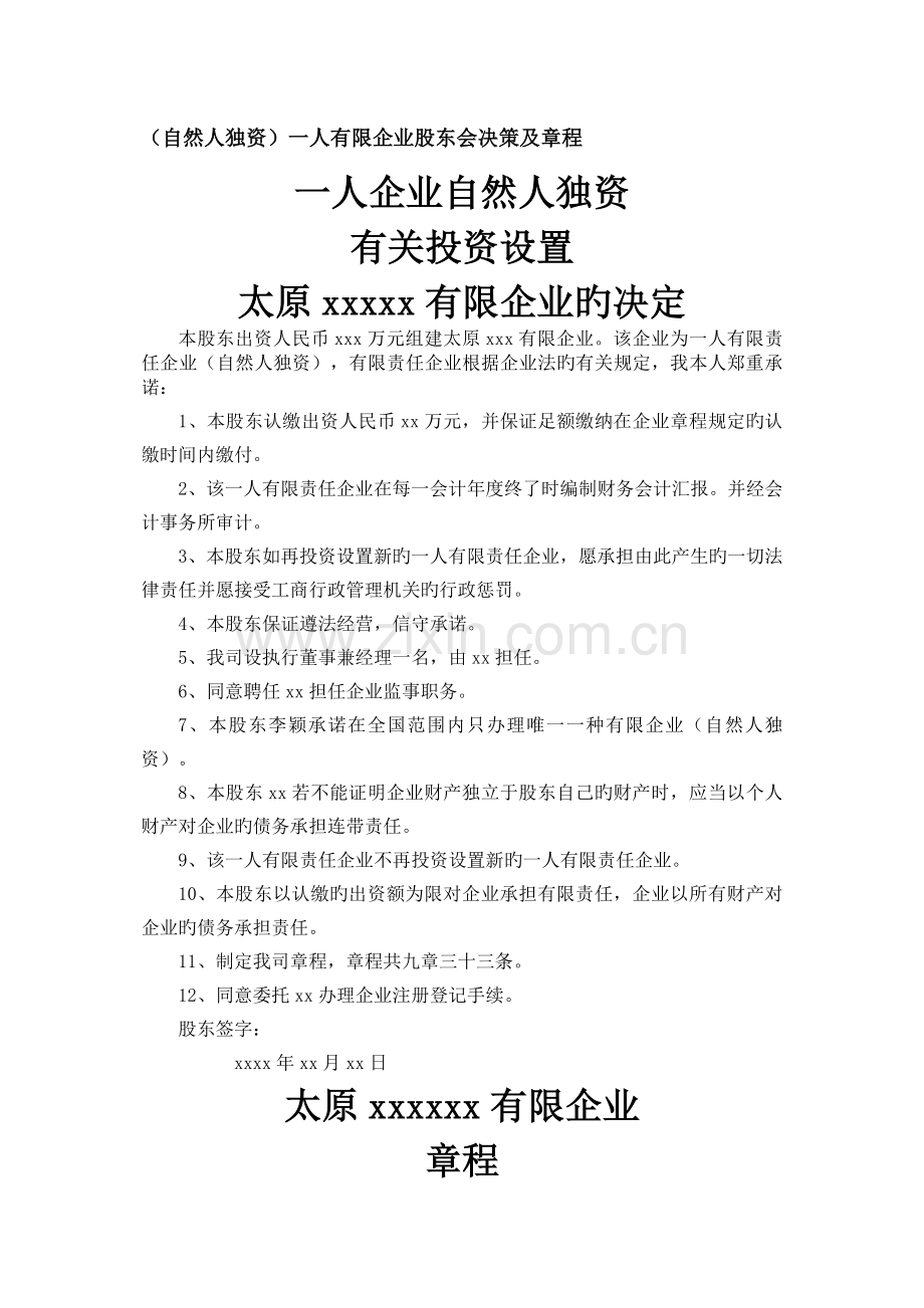 自然人独资一人有限公司股东会决议及章程.docx_第1页