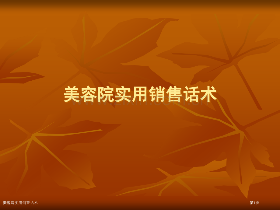 美容院实用销售话术.pptx_第1页