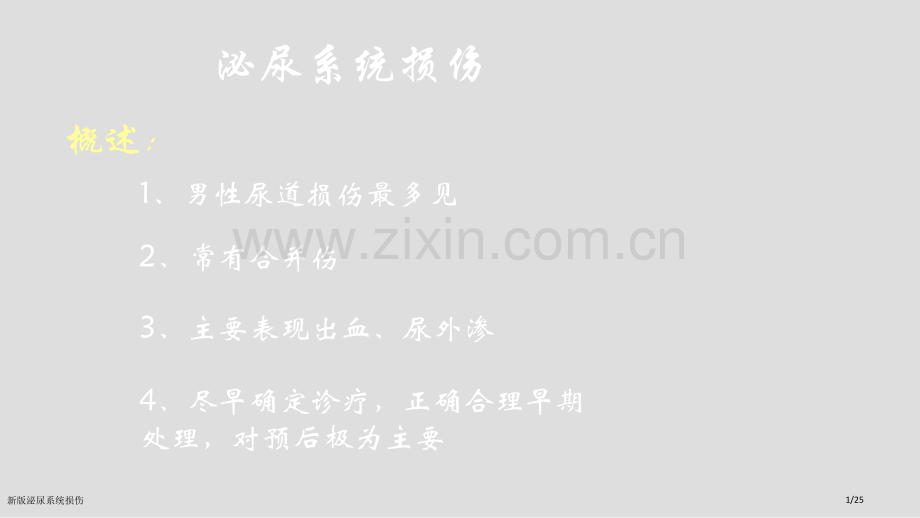 新版泌尿系统损伤.pptx_第1页