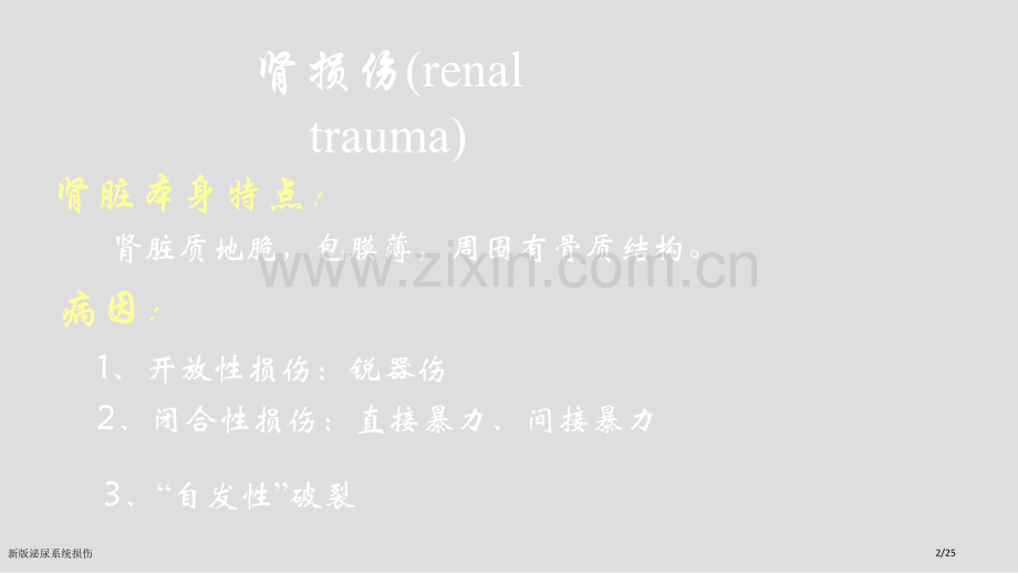 新版泌尿系统损伤.pptx_第2页