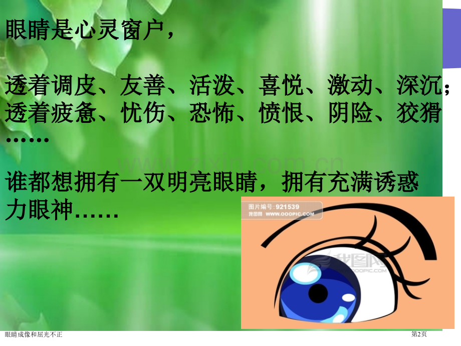 眼睛成像和屈光不正专家讲座.pptx_第2页