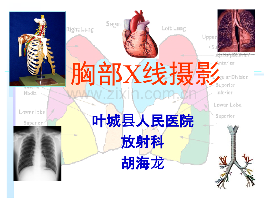 0066X线摄影位置学2胸部摄影位置.pptx_第1页