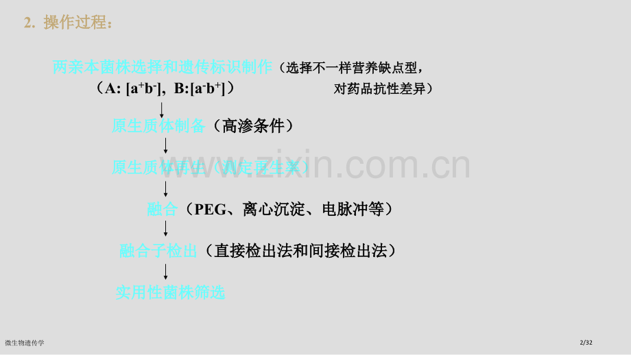 微生物遗传学.pptx_第2页
