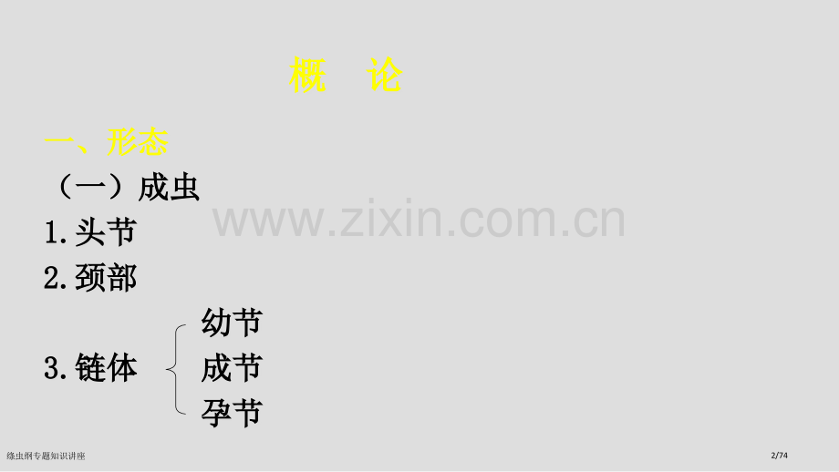 绦虫纲专题知识讲座.pptx_第2页