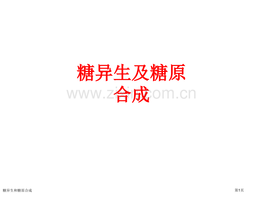 糖异生和糖原合成.pptx_第1页