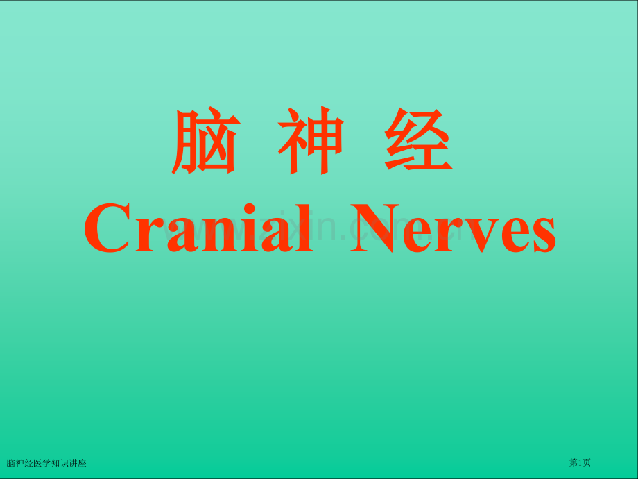 脑神经医学知识讲座专家讲座.pptx_第1页