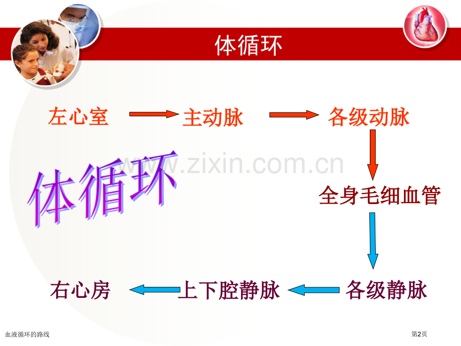 血液循环的路线专家讲座.pptx_第2页
