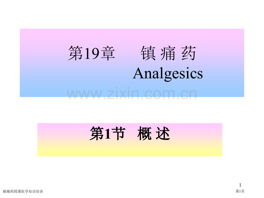镇痛药授课医学知识培训专家讲座.pptx_第1页
