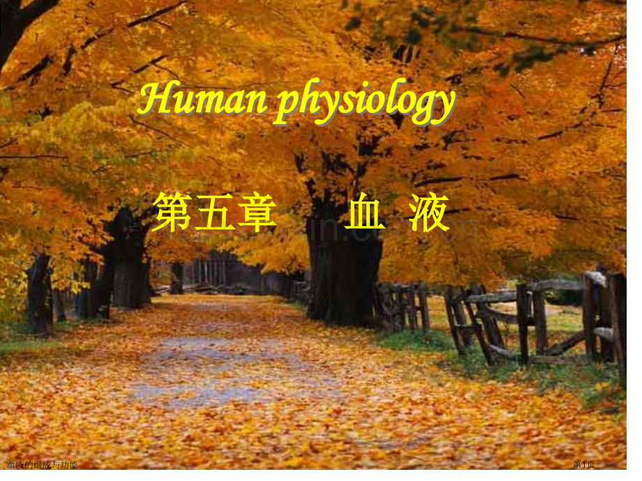 血液的组成与功能.pptx_第1页