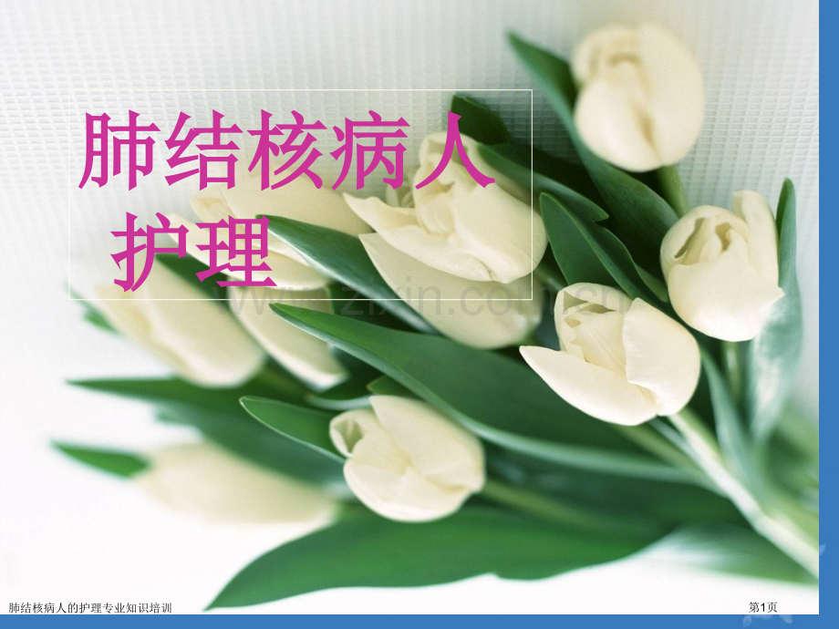 肺结核病人的护理专业知识培训专家讲座.pptx_第1页