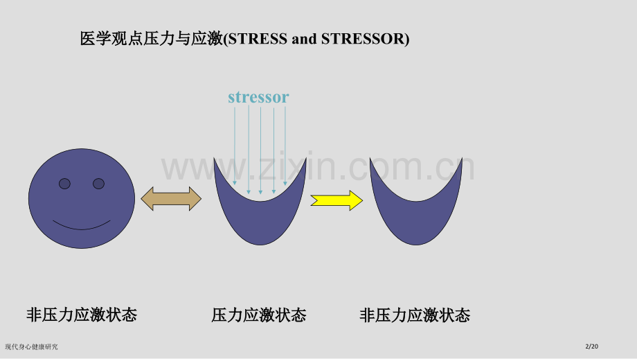 现代身心健康研究.pptx_第2页