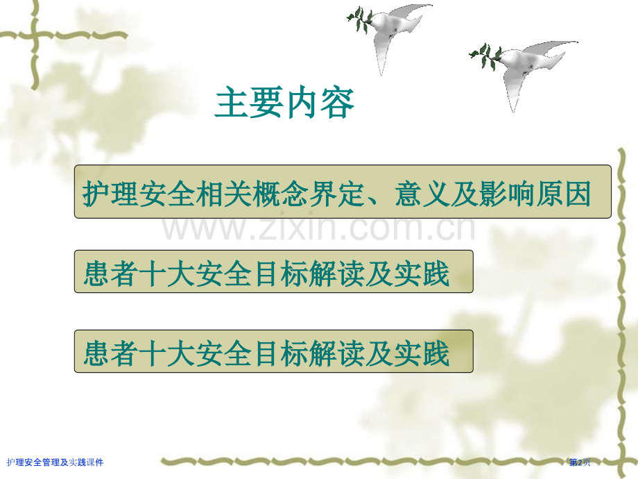 护理安全管理及实践课件.pptx_第2页