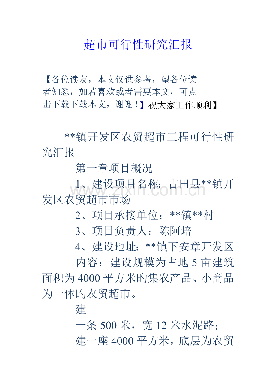 超市可行性研究报告.doc_第1页