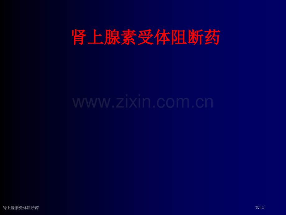 肾上腺素受体阻断药.pptx_第1页