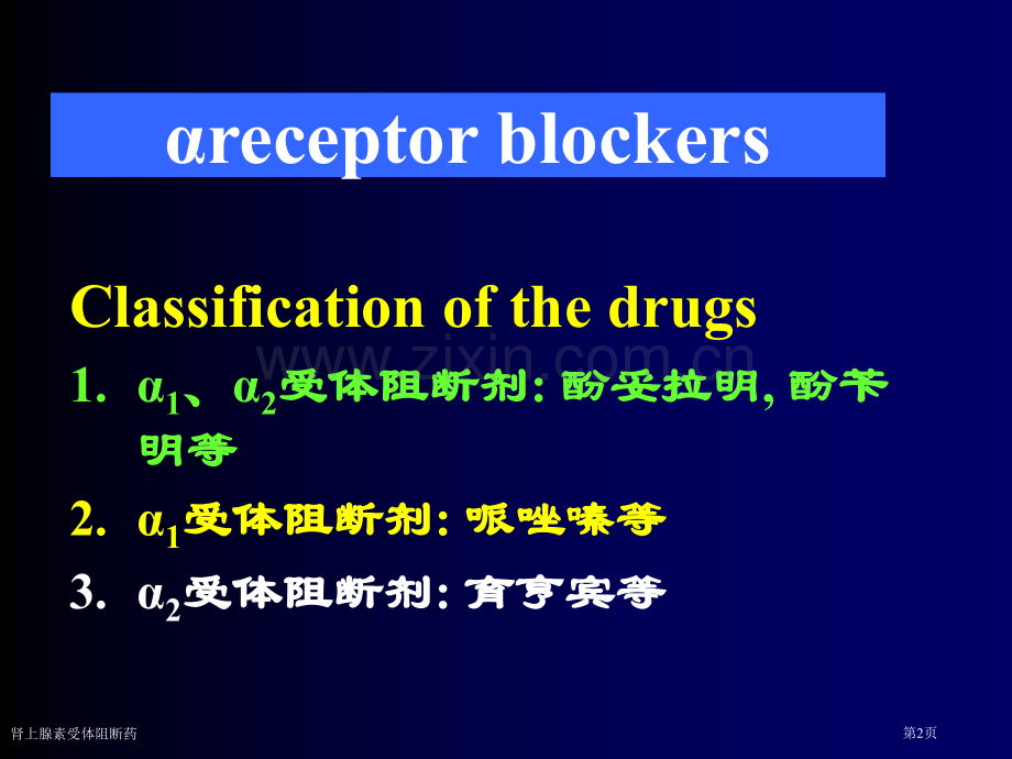 肾上腺素受体阻断药.pptx_第2页