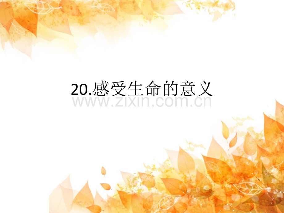 20感受生命的意义.pptx_第1页