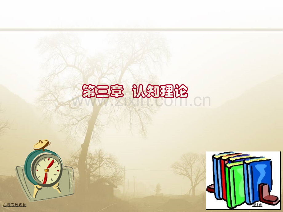 心理发展理论专家讲座.pptx_第1页