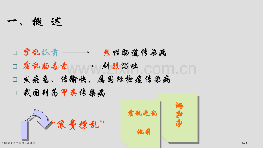 细菌感染医学知识专题讲座.pptx_第2页