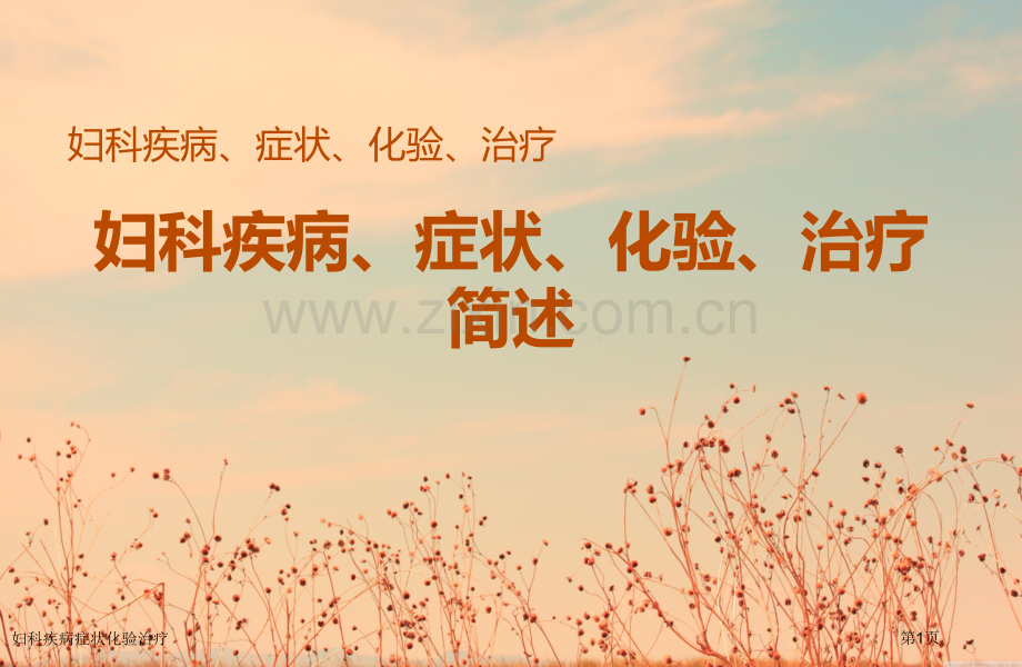 妇科疾病症状化验治疗专家讲座.pptx_第1页
