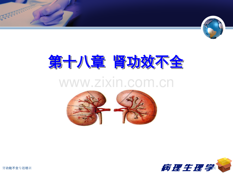 肾功能不全专题培训专家讲座.pptx_第1页