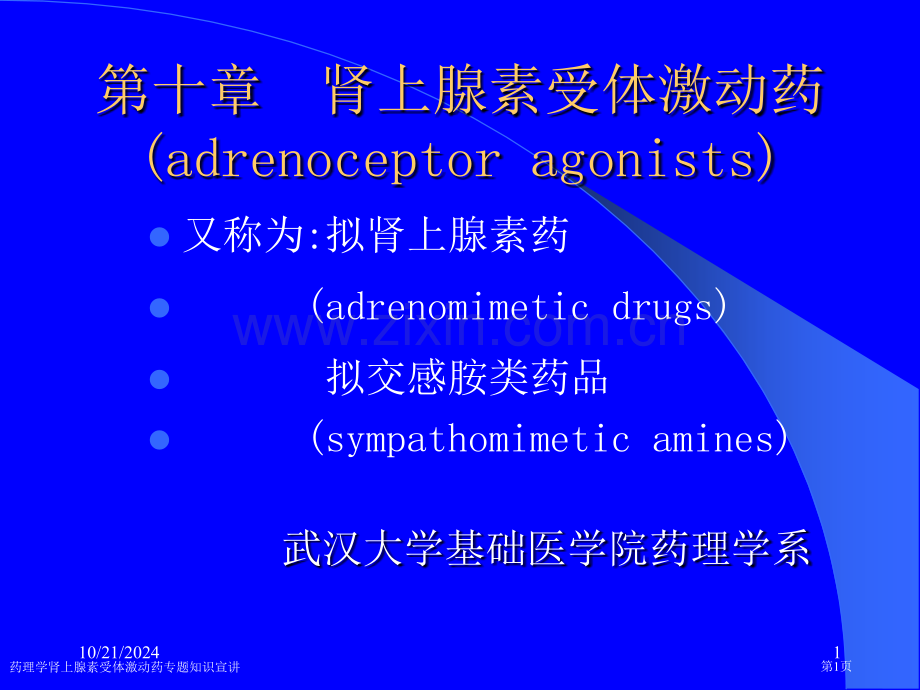 药理学肾上腺素受体激动药专题知识宣讲专家讲座.pptx_第1页