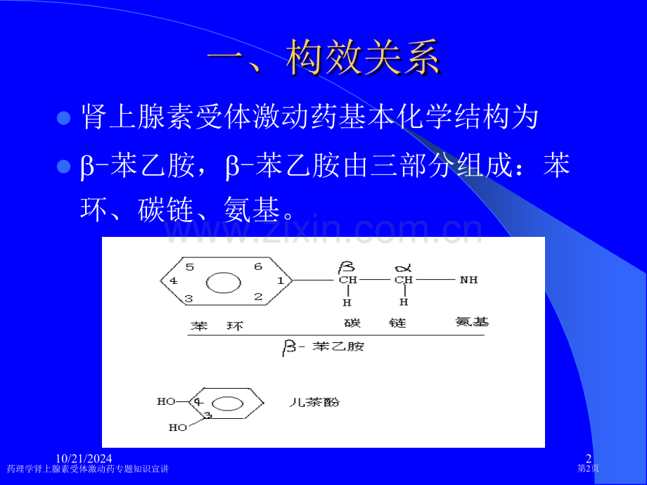 药理学肾上腺素受体激动药专题知识宣讲专家讲座.pptx_第2页