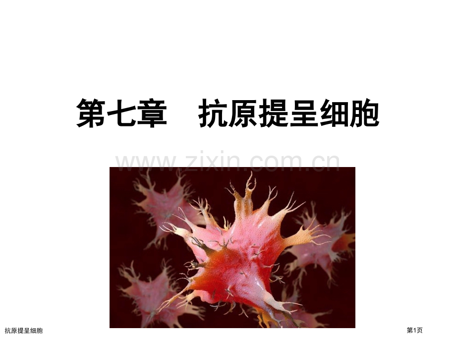 抗原提呈细胞专家讲座.pptx_第1页