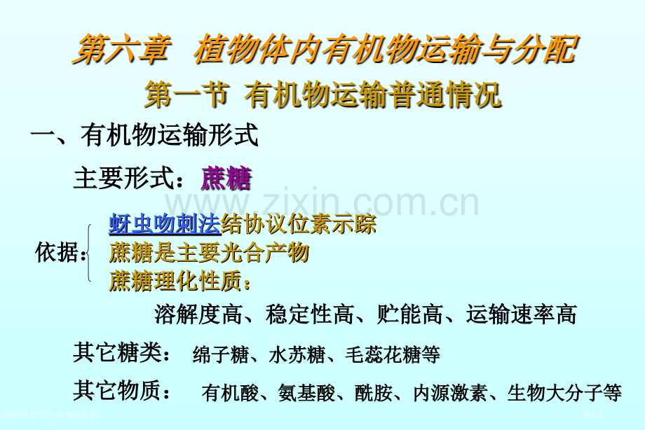 植物生理学-专业知识宣讲专家讲座.pptx_第1页