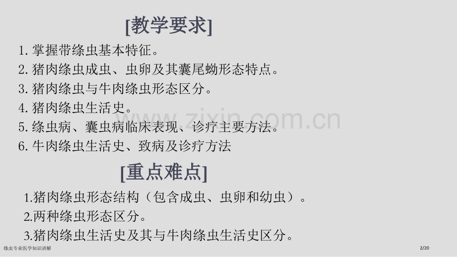 绦虫专业医学知识讲解.pptx_第2页