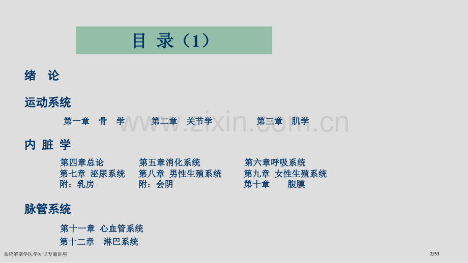 系统解剖学医学知识专题讲座.pptx_第2页