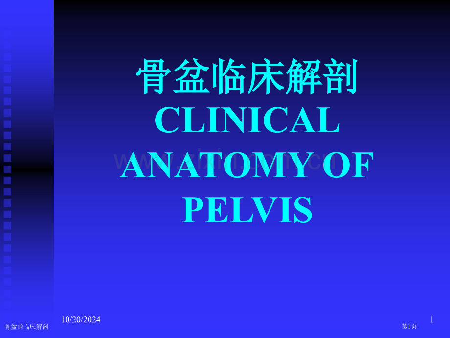 骨盆的临床解剖.pptx_第1页