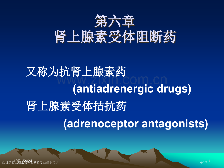 药理学肾上腺素受体阻断药专业知识培训专家讲座.pptx_第1页