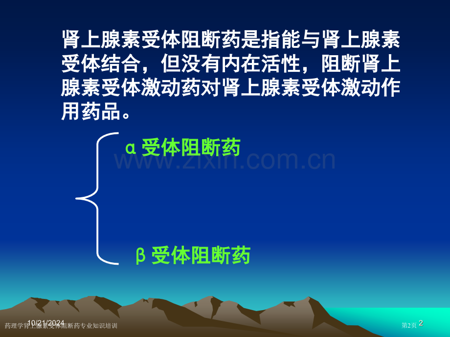 药理学肾上腺素受体阻断药专业知识培训专家讲座.pptx_第2页