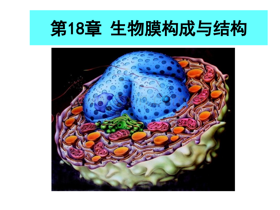 王镜岩生化生物膜的组成与结构市公开课金奖市赛课一等奖课件.pptx_第1页