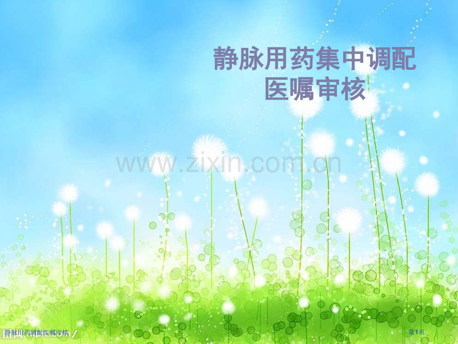 静脉用药调配医嘱审核.pptx_第1页