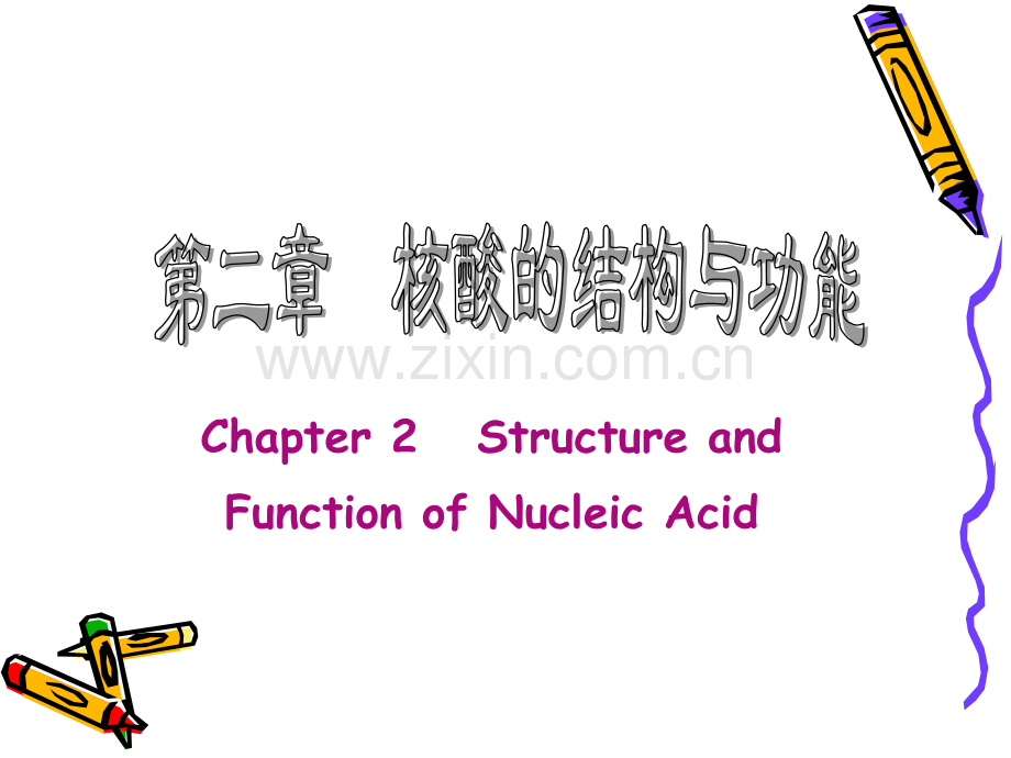 02NucleicAcids.pptx_第1页