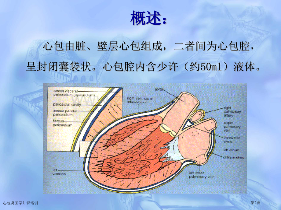 心包炎医学知识培训专家讲座.pptx_第2页