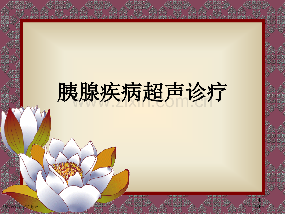 胰腺疾病的超声诊疗专家讲座.pptx_第1页