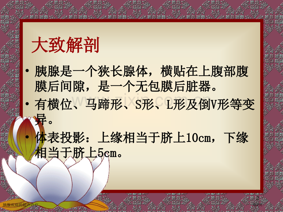 胰腺疾病的超声诊疗专家讲座.pptx_第2页